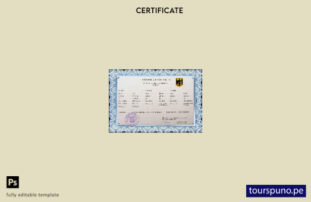 listo para imprimir plantilla PSD de certificado de nacimiento del registro ci 4